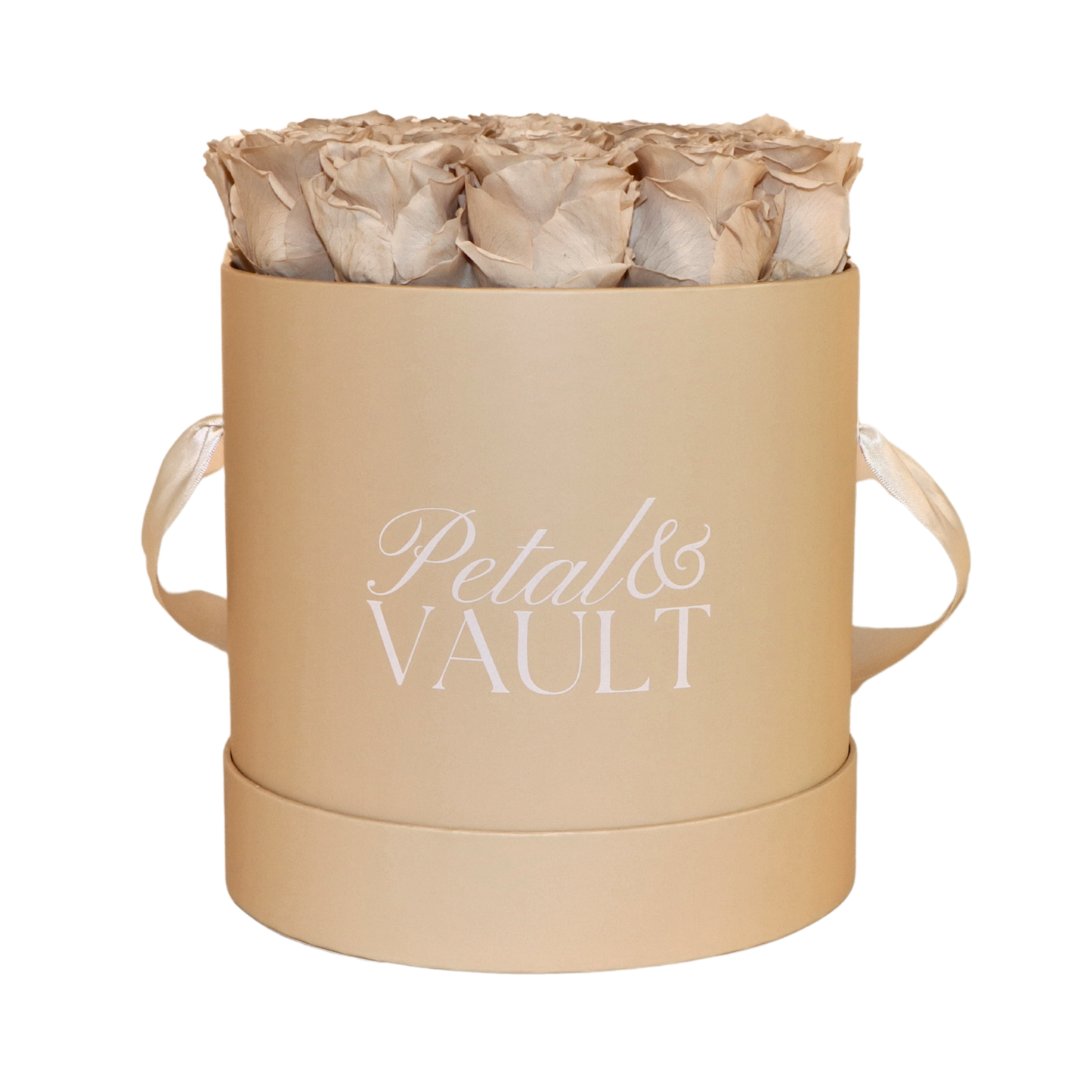 Beige cylindrical hat box with 'Petal & Vault' branding containing beige roses on a white background