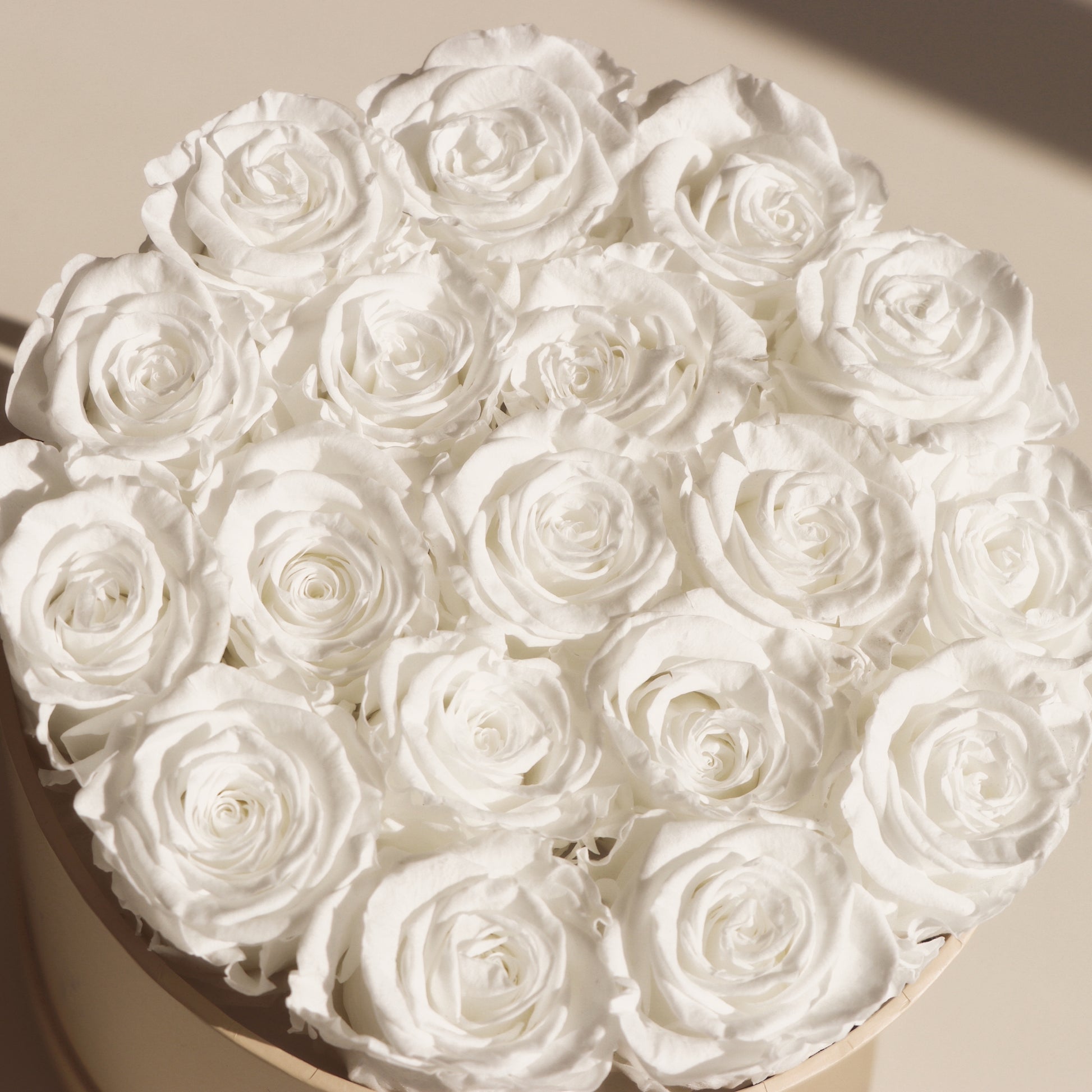 close up of an arrangement of white roses in a round beige hat box on a light background